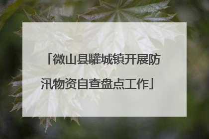 微山县驩城镇开展防汛物资自查盘点工作