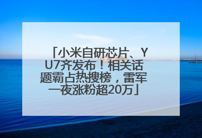 小米自研芯片、YU7齐发布！相关话题霸占热搜榜，雷军一夜涨粉超20万