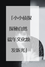 小小侦探探秘自然 端午文化焕发新光