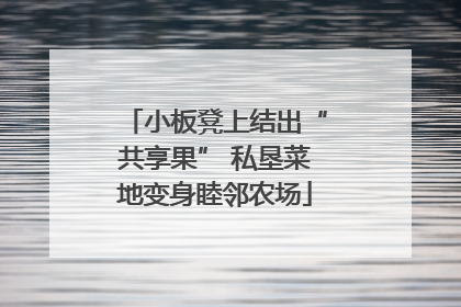 小板凳上结出“共享果” 私垦菜地变身睦邻农场