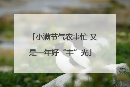 小满节气农事忙 又是一年好“丰”光