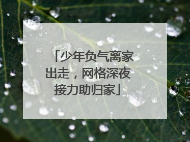 少年负气离家出走，网格深夜接力助归家
