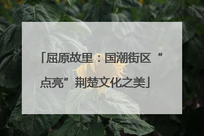 屈原故里：国潮街区“点亮”荆楚文化之美