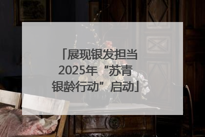 展现银发担当 2025年“苏青银龄行动”启动