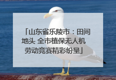 山东省乐陵市：田间地头 全市植保无人机劳动竞赛精彩纷呈