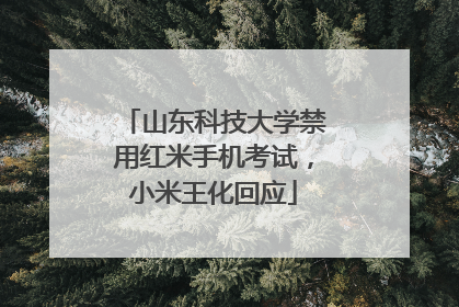 山东科技大学禁用红米手机考试，小米王化回应