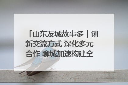 山东友城故事多｜创新交流方式 深化多元合作 聊城加速构建全球友城新格局