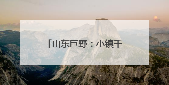山东巨野：小镇千亩胡萝卜基地迎来“智慧大丰收”
