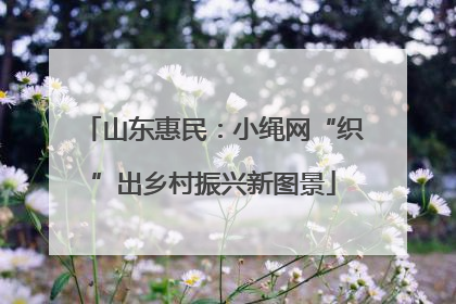 山东惠民：小绳网“织”出乡村振兴新图景