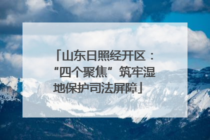 山东日照经开区：“四个聚焦”筑牢湿地保护司法屏障
