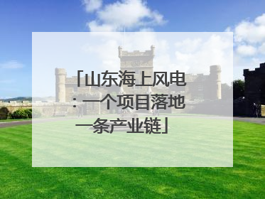 山东海上风电：一个项目落地一条产业链