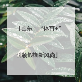 山东：“体育+”引领假期新风尚