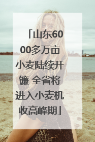 山东6000多万亩小麦陆续开镰 全省将进入小麦机收高峰期