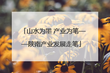 山水为墨 产业为笔——陕南产业发展走笔
