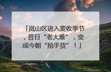 岚山区进入麦收季节，昔日“老大难”，变成今朝“抢手货”！