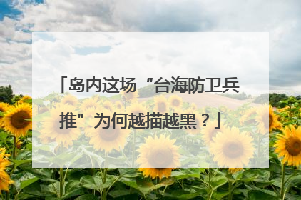 岛内这场“台海防卫兵推”为何越描越黑？