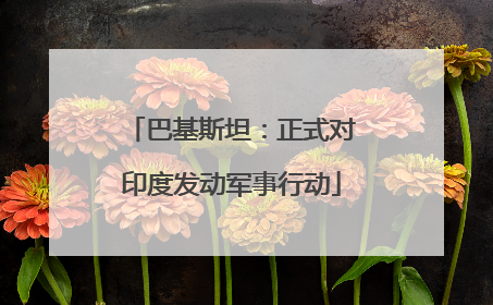 巴基斯坦：正式对印度发动军事行动