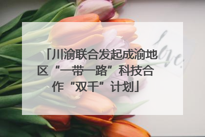 川渝联合发起成渝地区“一带一路”科技合作“双千”计划