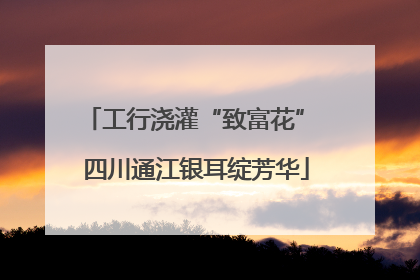 工行浇灌“致富花” 四川通江银耳绽芳华