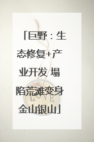 巨野：生态修复+产业开发 塌陷荒滩变身金山银山