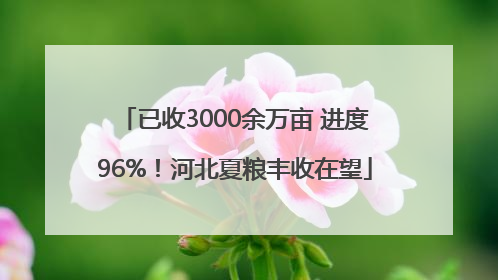 已收3000余万亩 进度96%！河北夏粮丰收在望