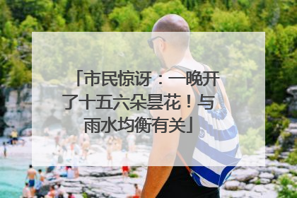 市民惊讶：一晚开了十五六朵昙花！与雨水均衡有关