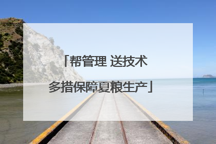帮管理 送技术 多措保障夏粮生产