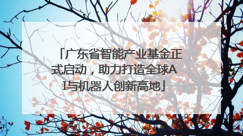 广东省智能产业基金正式启动，助力打造全球AI与机器人创新高地