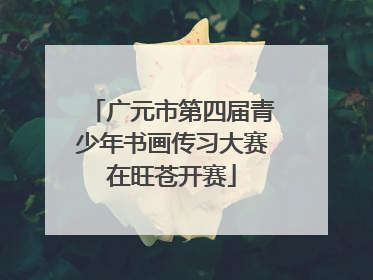 广元市第四届青少年书画传习大赛在旺苍开赛