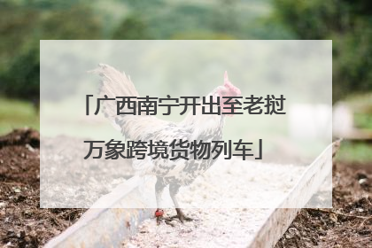 广西南宁开出至老挝万象跨境货物列车