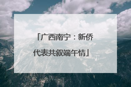 广西南宁：新侨代表共叙端午情