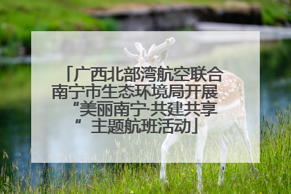 广西北部湾航空联合南宁市生态环境局开展“美丽南宁·共建共享”主题航班活动