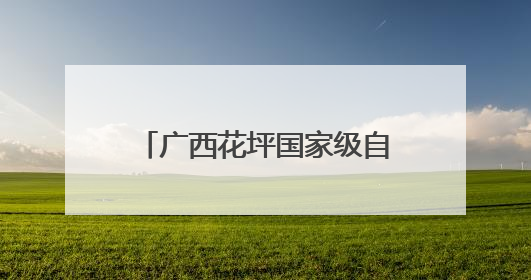 广西花坪国家级自然保护区守护“植物大熊猫”银杉