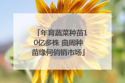 年育蔬菜种苗10亿多株 曲周种苗缘何俏销市场