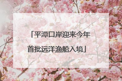 平潭口岸迎来今年首批远洋渔船入境
