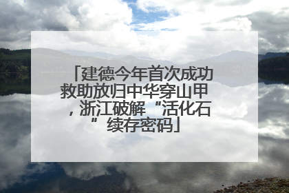 建德今年首次成功救助放归中华穿山甲，浙江破解“活化石”续存密码