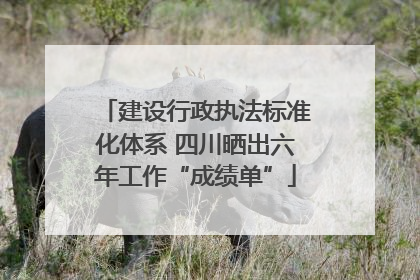 建设行政执法标准化体系 四川晒出六年工作“成绩单”