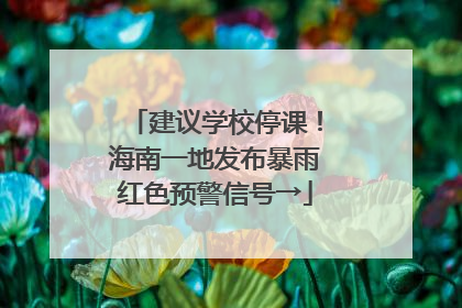 建议学校停课！海南一地发布暴雨红色预警信号→
