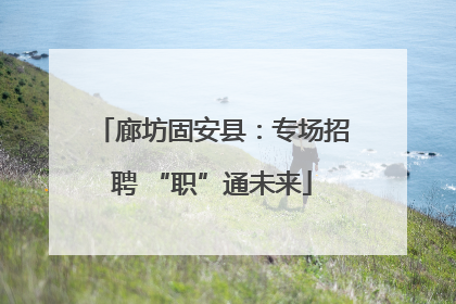 廊坊固安县：专场招聘 “职”通未来
