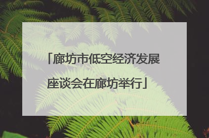 廊坊市低空经济发展座谈会在廊坊举行