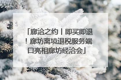 廊洽之约丨即买即退！廊坊离境退税服务端口亮相廊坊经洽会