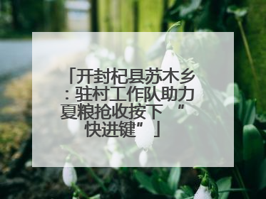 开封杞县苏木乡：驻村工作队助力夏粮抢收按下 “快进键”
