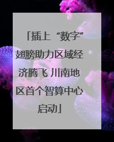 插上“数字”翅膀助力区域经济腾飞 川南地区首个智算中心启动