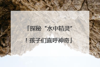 探秘“水中精灵”！孩子们直呼神奇
