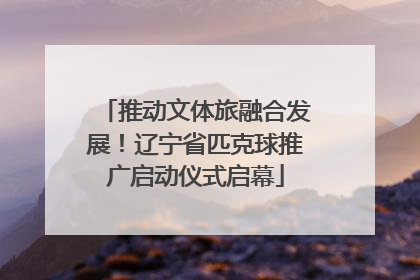 推动文体旅融合发展！辽宁省匹克球推广启动仪式启幕