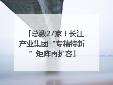 总数27家！长江产业集团“专精特新”矩阵再扩容