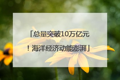总量突破10万亿元！海洋经济动能澎湃