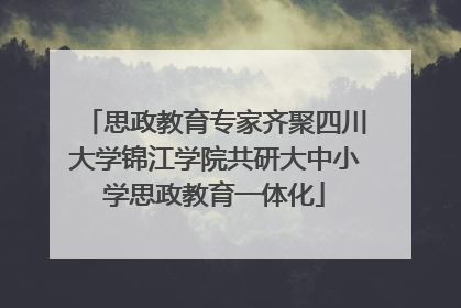 思政教育专家齐聚四川大学锦江学院共研大中小学思政教育一体化