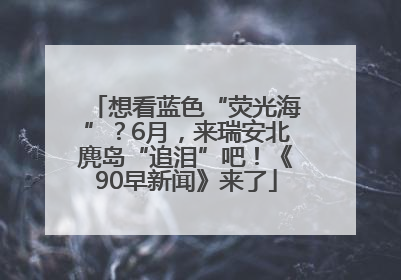 想看蓝色“荧光海”？6月，来瑞安北麂岛“追泪”吧！《90早新闻》来了
