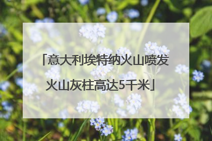 意大利埃特纳火山喷发 火山灰柱高达5千米